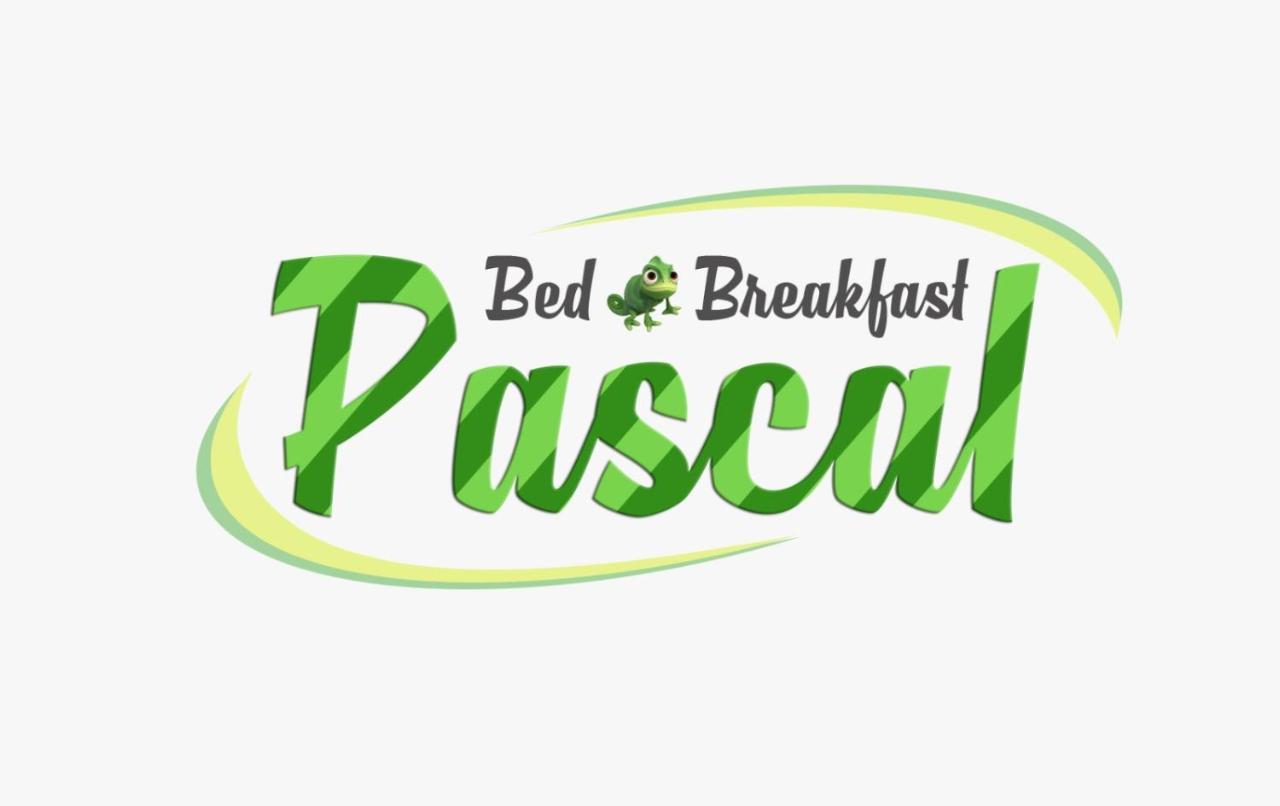 B&B Pascal Cagliari Zewnętrze zdjęcie